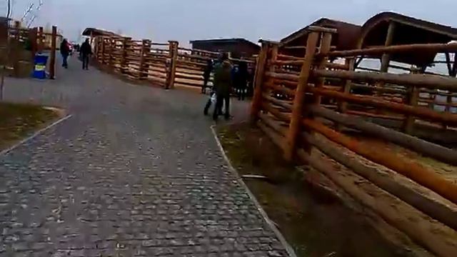 Зоопарк 12 месяцев. Верблюд-зверюга))) смотреть онлайн