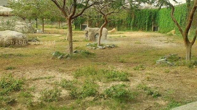DUBAI SAFARI PARK Adventure |Part 3 | Tourist attraction | Dubai Zoo | Malayalam Tour Guide | UAE
