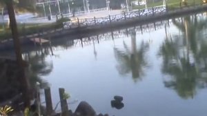 Отель Марина Дорада резорт. Северный ГОА