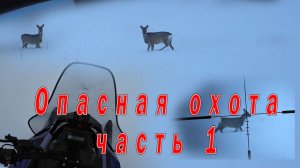 Опасная охота часть 1. Охота на косулю с вышки.