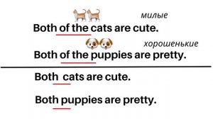 Both (Both of). Английская Грамматика.