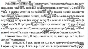 ГДЗ 5 класс упражнение по русскому языку 105