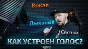 Как устроен голос, дыхание и голосовые связки / С чего начать учиться петь?
