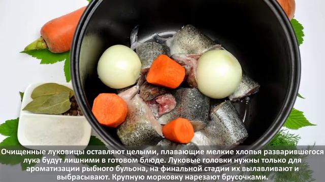 Уха из мелкой речной форели смотреть онлайн