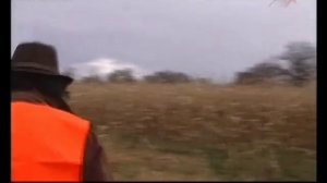 Охота во Франции | Часть 1-3 | Выпуск №77 (RUS)