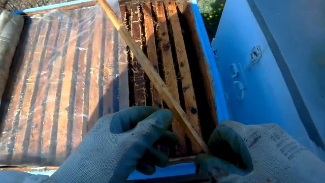 3 главных правила, когда можно подставлять вощину. смотреть онлайн