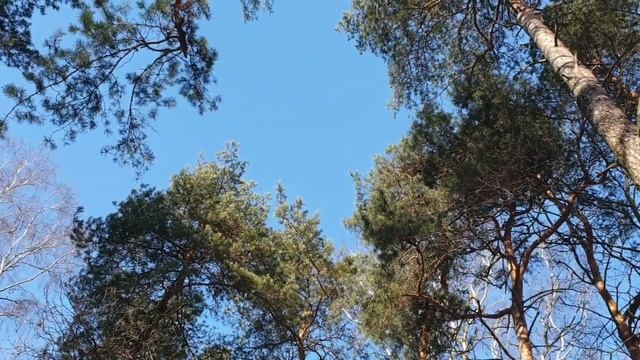 SŁOWIAŃSKA MANTRA WEWNĘTRZNEGO ZDROWIA I SIŁY смотреть онлайн