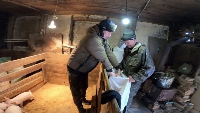 Был ЗИЛОВОДОМ стал СВИНОВОДОМ! Обустройство свинарника, заселение свиней в стайку!