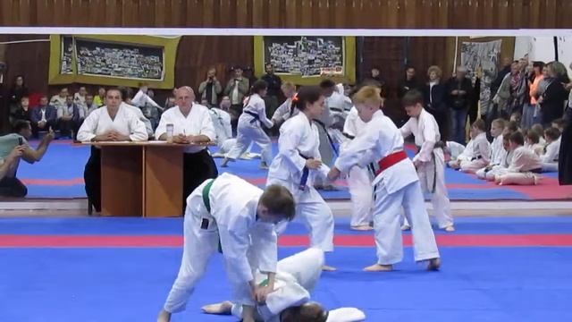 Айкидо Квалификация смотреть онлайн