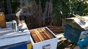 Обработка бипином 17 сентября 2021 год.mp4