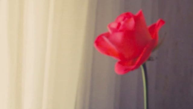 "Я тебя никогда не забуду" смотреть онлайн