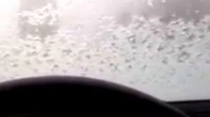 вот такое лобовое стекло на ауди