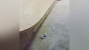 САМЫЕ ЖЁСТКИЕ ПАДЕНИЯ НА СКЕЙТБОРДЕ