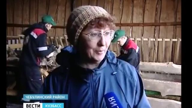 Стрижка овец смотреть онлайн