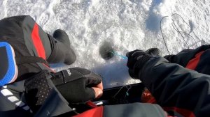 КАК ? Ловля окуня зимой в ГЛУХОЗИМЬЕ! Самая простая снасть!