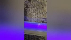 Ремонт трещины лобового стекла