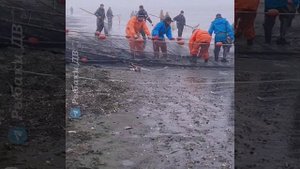 Камчатка. Эльдорадо в Октябрьском