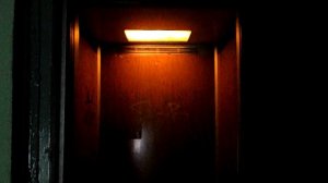 Электрический лифт V=0,71 м-с, грузоподъемность 320 кг (367)