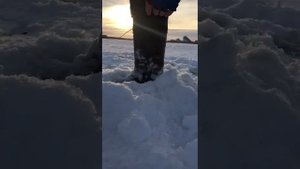 тестирование в Питере ножи универсальные 130-150 сталь  9хс,твердость 62ед.