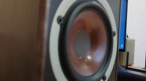 Aiyima A08 Pro + DALI SPEKTOR 2