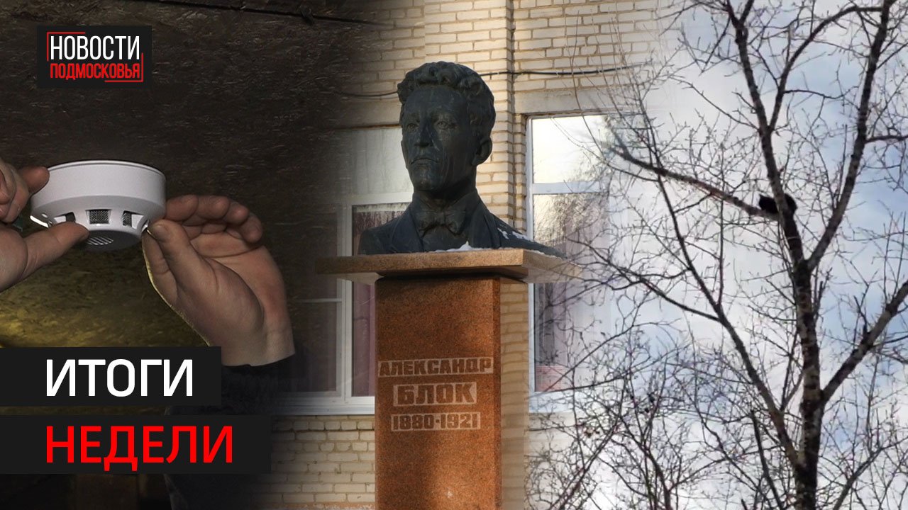Избежать трагедии | Культурное путешествие | Не кошкин дом // Итоги недели // Солнечногорск 09.12