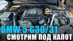 Секреты подкапотного пространства на BMW 5, ISTA, Гибрид, Швеция и др.