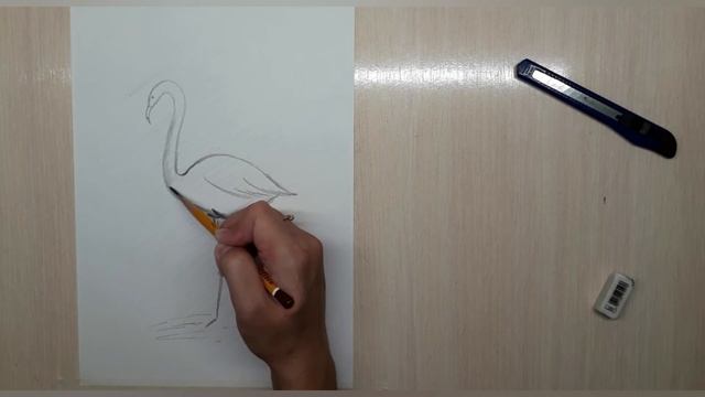#Графика Рисуем фламинго ? Как нарисовать фламинго)