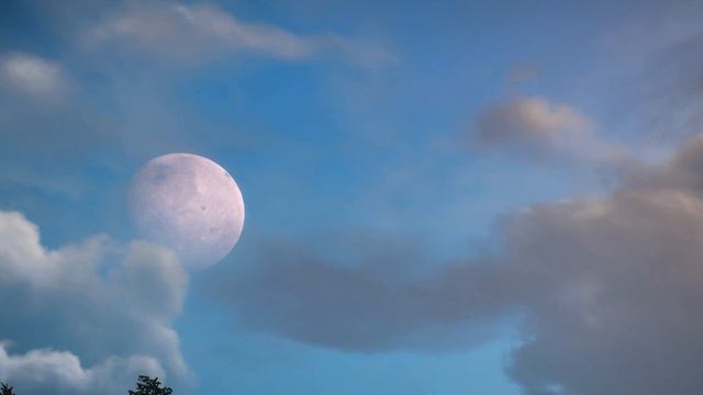 Женщина Водолей - характер этого знака зодиака. смотреть онлайн