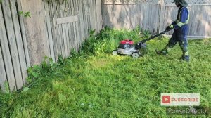NIGHTMARE YARD FREE transformation PART 1, My 8th FREE mowing service #lawnmowing #lawncare #mowing