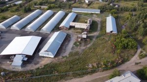 Природа Зауралья. Куртамышский район 4К