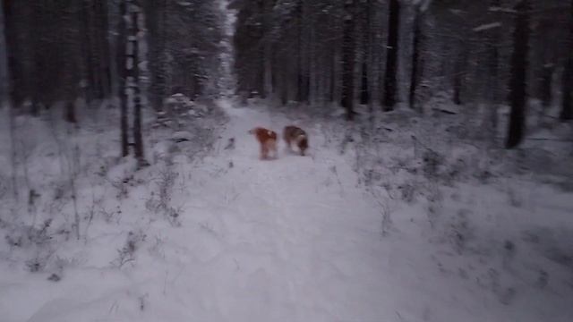 22 ноября 2023 г. смотреть онлайн