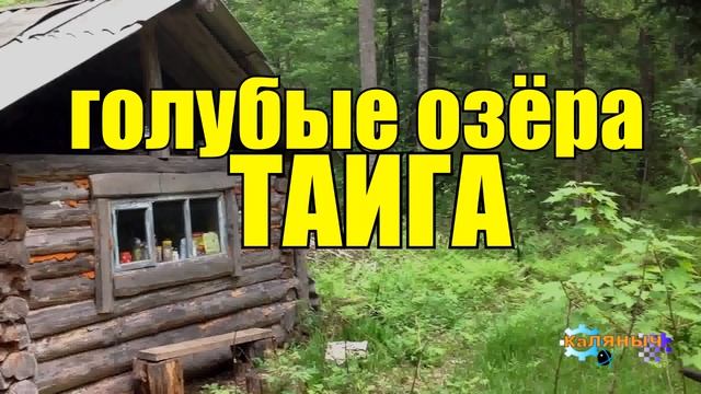 0816 - ПУТЕШЕСТВИЕ ПО ТАЙГЕ _ ОДИНОЧНЫЕ ПОХОДЫ _ РЫБАЛКА НА ОЗЕРАХ _ 8 ДНЕЙ и СУДЬБА ЧЕЛОВЕКА