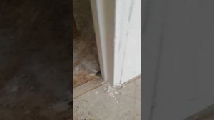 На линолеум. Укладка ламината.