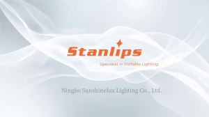 30W 50W 100W 150W 200W LED street lights manufacturer-Ningbo Sunshinelux