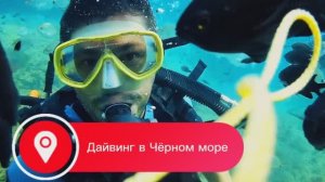 ДАЙВИНГ В ЧЁРНОМ МОРЕ. #АНАПА #ГЕЛЕНДЖИК #УТРИШ