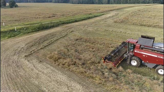 Новый Суперкомбайн Палессе GS2124 с системами автовождения и точного земледелия
