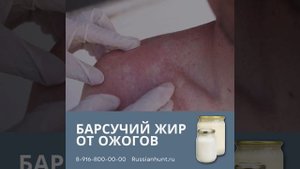 Барсучий жир