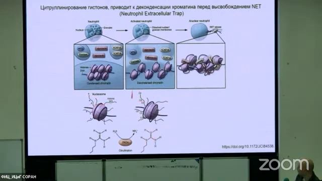 Нариман Баттулин Как устроена наука. История одного научного факта: от открытия до закрытия.