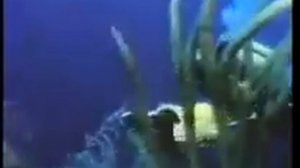 John Denver talks about Jacques Cousteau and Sings Calypso
