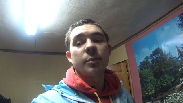 Honda Civic 4d. Замена тормозных дисков и колодок!ремонт суппорта своими руками! смотреть онлайн