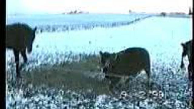 3-й Лишний !!!