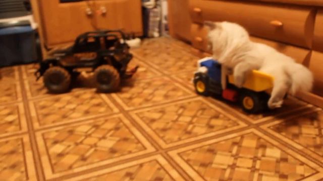 Невская маскарадная Аврора смотреть онлайн