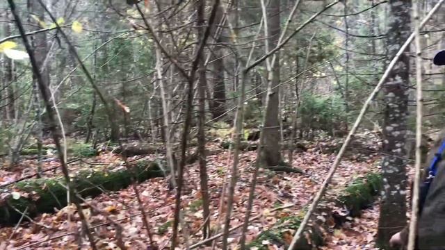 Белый. Октябрь 2022 смотреть онлайн