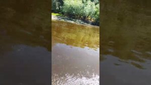 Тохатсу mfs5 лодка Ботцман 340а