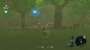 Legend Of Zelda: Breath Of The Wild — обзор фаната
