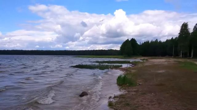 Озеро Белое, Сурмино, Витебская обл., Беларусь
