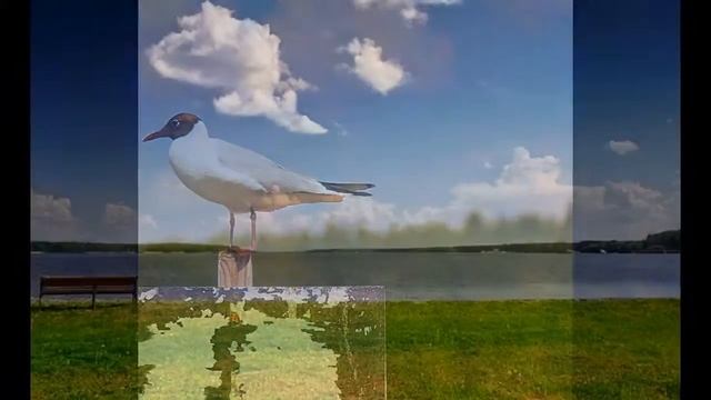 Элитный поселок Пестово