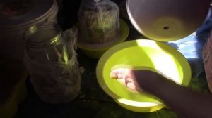 Шары-светильники для сада