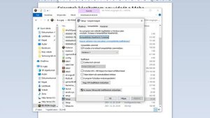 Medal Of Honor: Allied Assault, win10 game game crash, does not start or exits after starting.