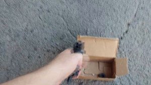 Дешёвые OEM амортизаторы TOYOTA из Китая TEMS Prado120, GX470. Мое мнение! Бонус, про пружины.